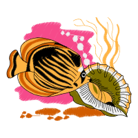 Illustration Other