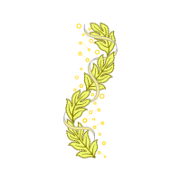 Illustration Other