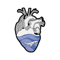 Illustration Other