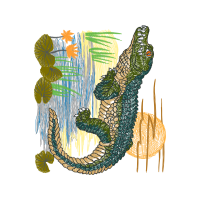 Illustration Other