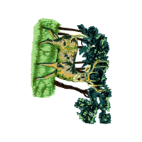 Illustration Other