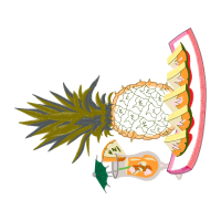 Illustration Other