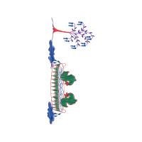 Illustration Other