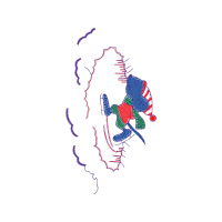 Illustration Other