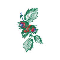 Illustration Other