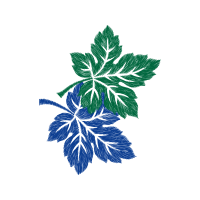 Illustration Other