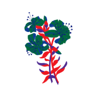 Illustration Other