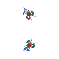 Illustration Other