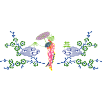 Illustration Other