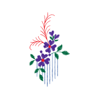 Illustration Other