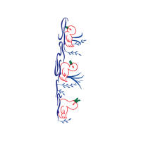 Illustration Other
