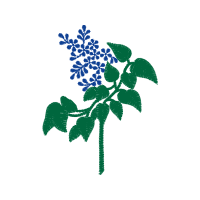 Illustration Other