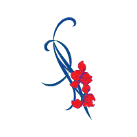 Illustration Other