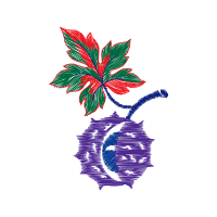 Illustration Other