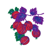 Illustration Other