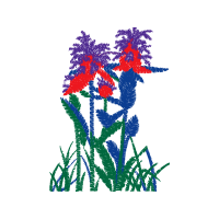 Illustration Other