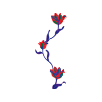 Illustration Other