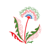 Illustration Other