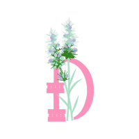 Illustration Other