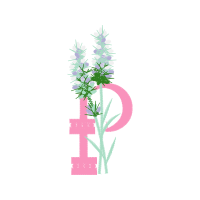 Illustration Other