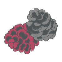 Illustration Other