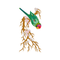 Illustration Other