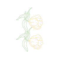 Illustration Other