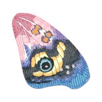 Illustration Other