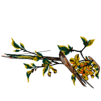 Illustration Other