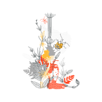 Illustration Other
