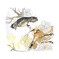 Illustration Other
