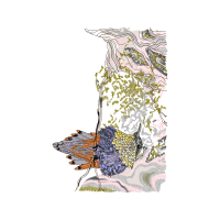 Illustration Other
