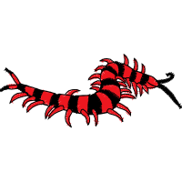 Illustration Other