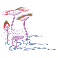 Illustration Other