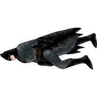 Illustration Other