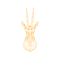 Illustration Other
