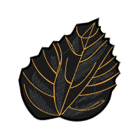 Illustration Other
