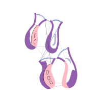Illustration Other