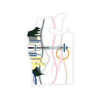 Illustration Other