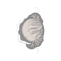 Illustration Other