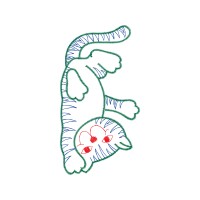 Illustration Other