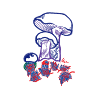 Illustration Other