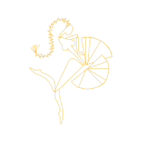 Illustration Other