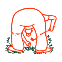 Illustration Other