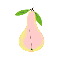 Illustration Other