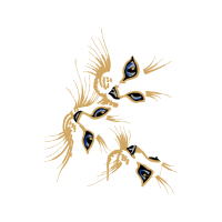 Illustration Other