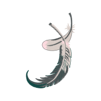 Illustration Other