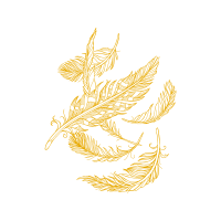 Illustration Other