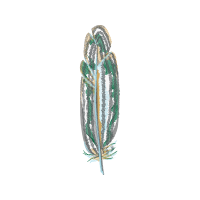 Illustration Other