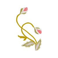 Illustration Other
